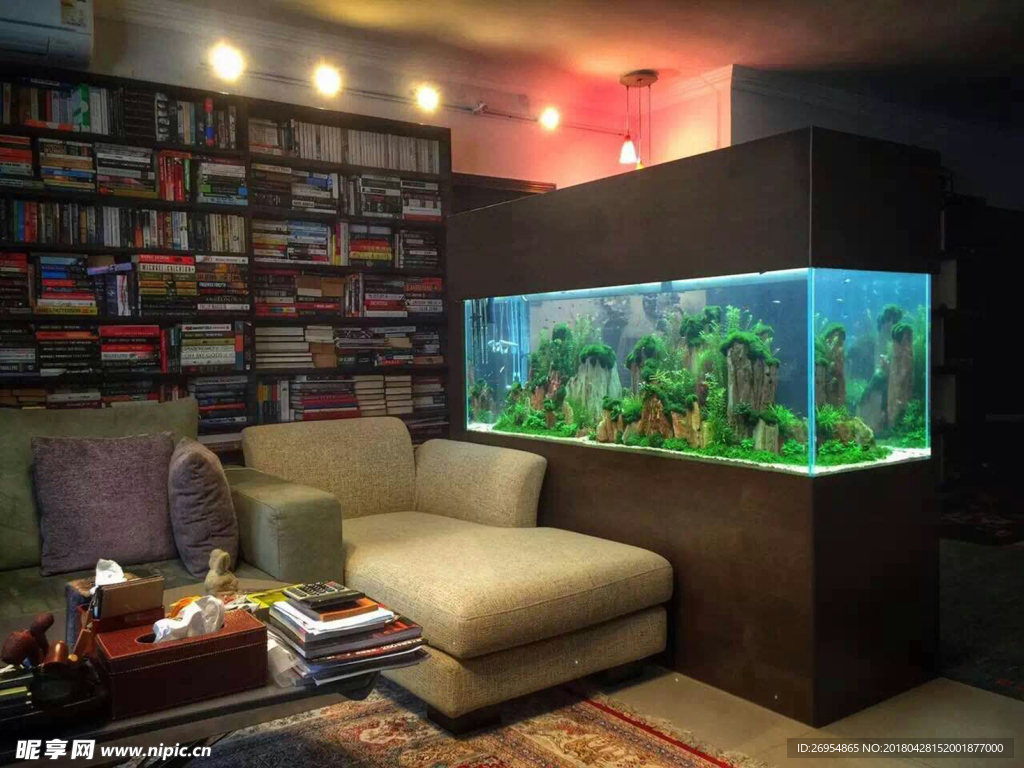生态鱼缸