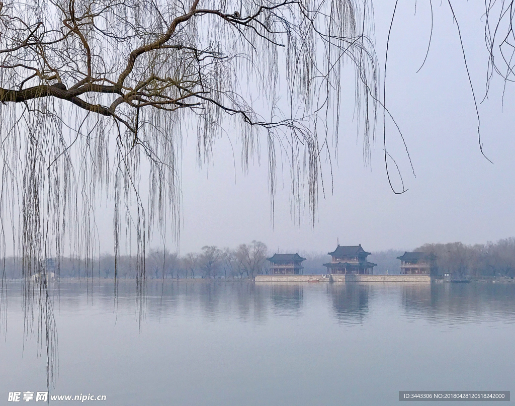 颐和园春柳