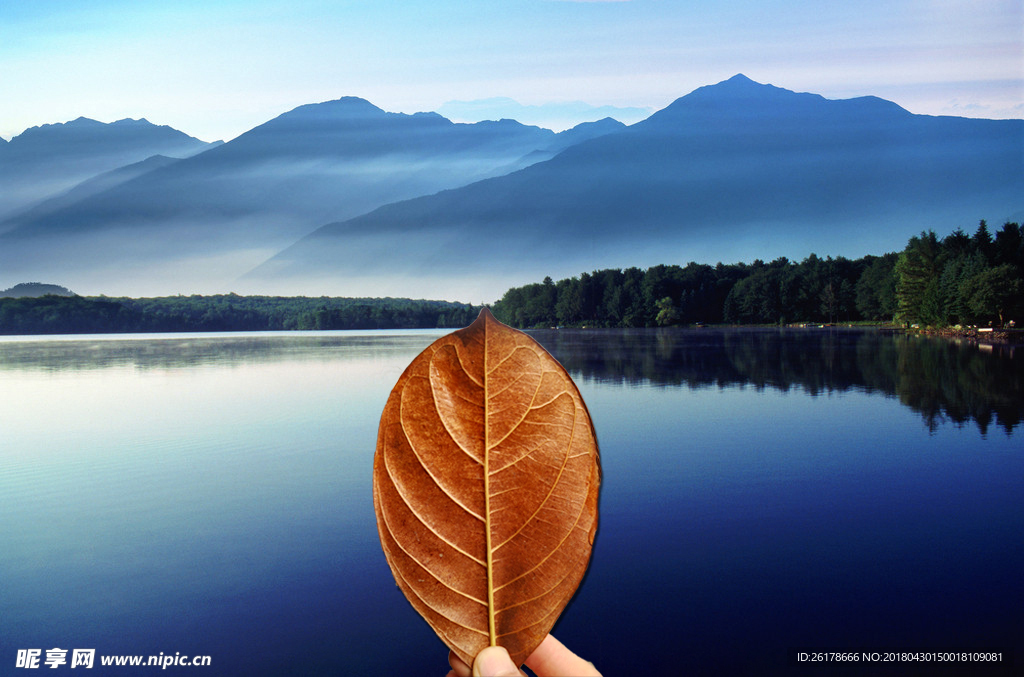 树叶   背景    湖