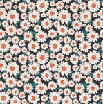 小雏菊花纹壁纸图片