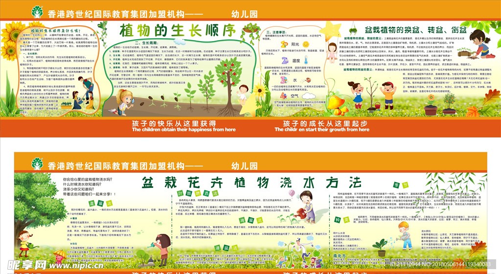 植物的生长顺序