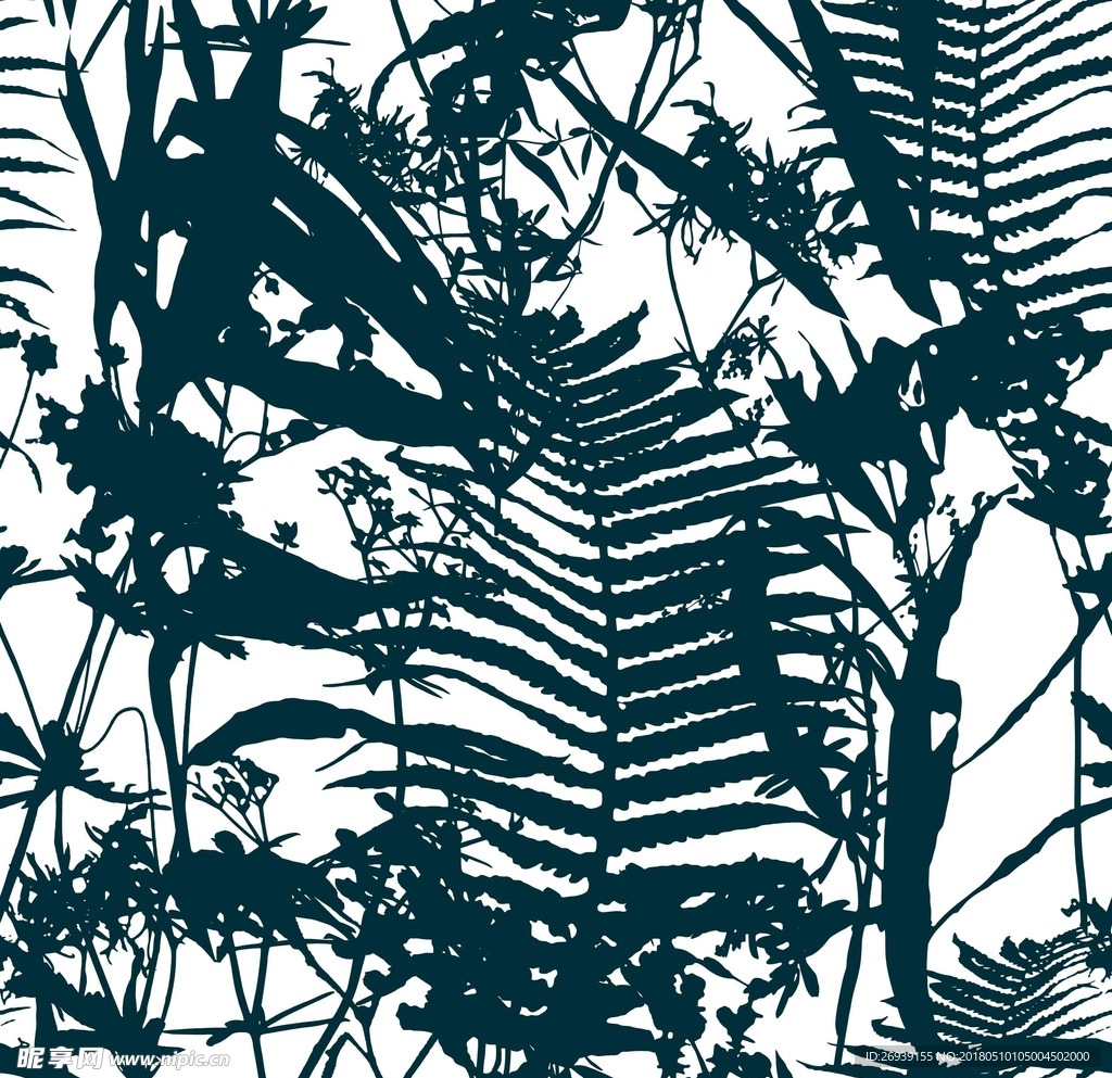 纯色 热带植物 透明背景