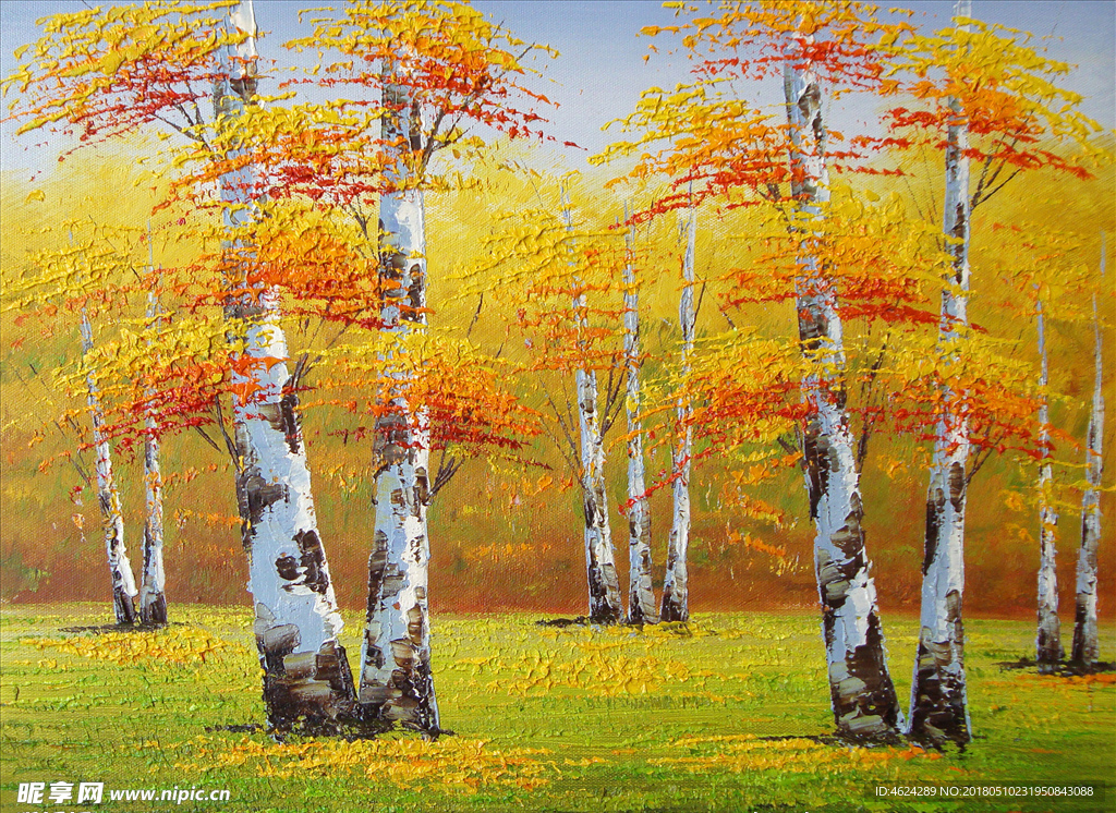 白桦树风景油画