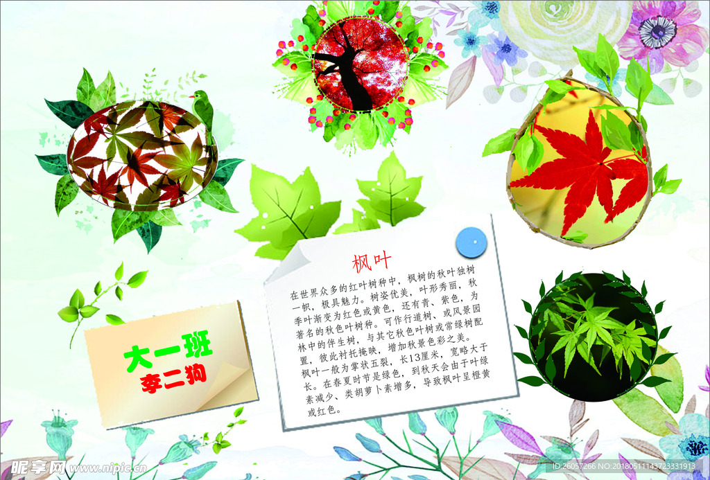 枫叶海报-小学生作业