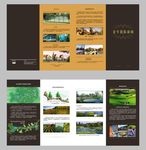 DM 折页 住宅 文旅 创意