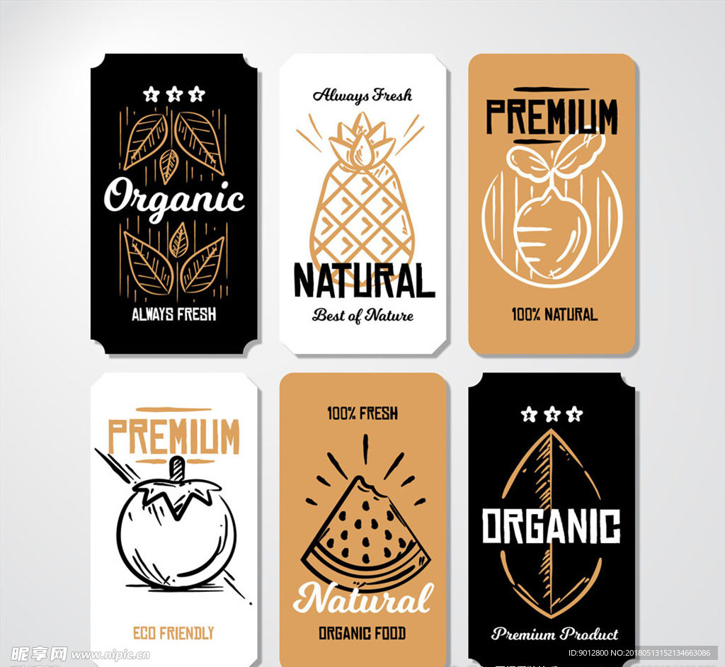 手绘有机食物卡片