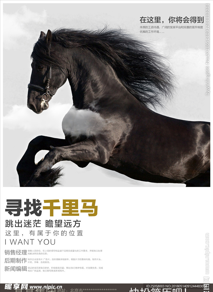寻找千里马海报