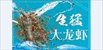 生猛大龙虾