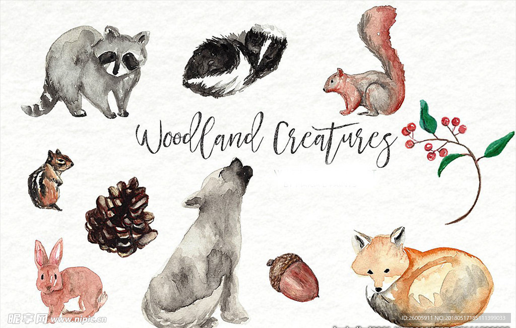 森林动物水彩画