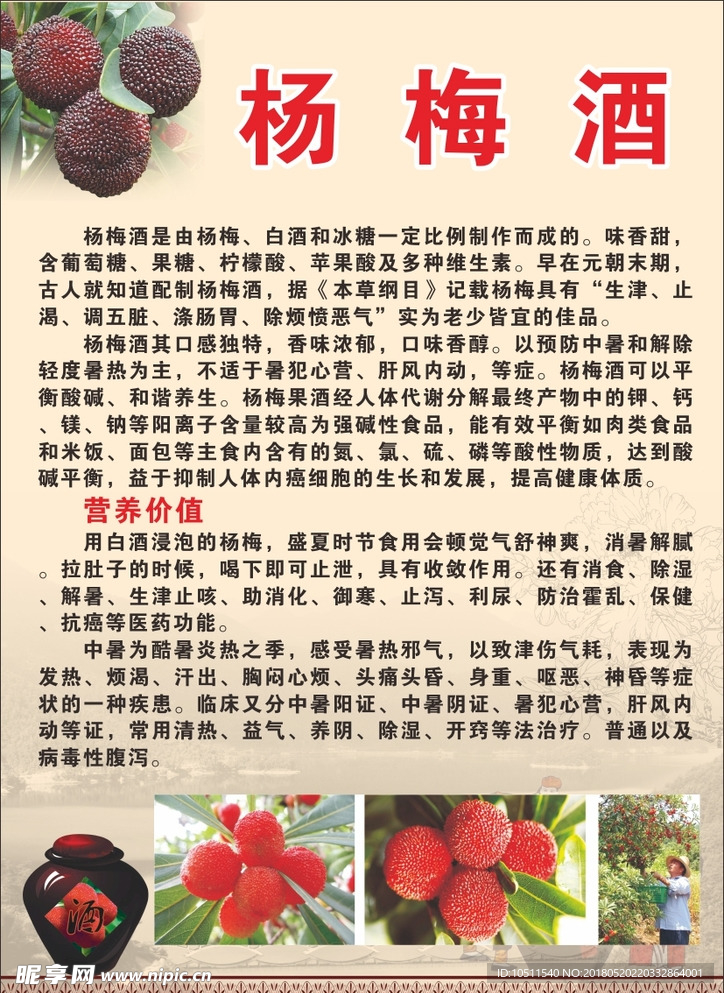 杨梅酒海报