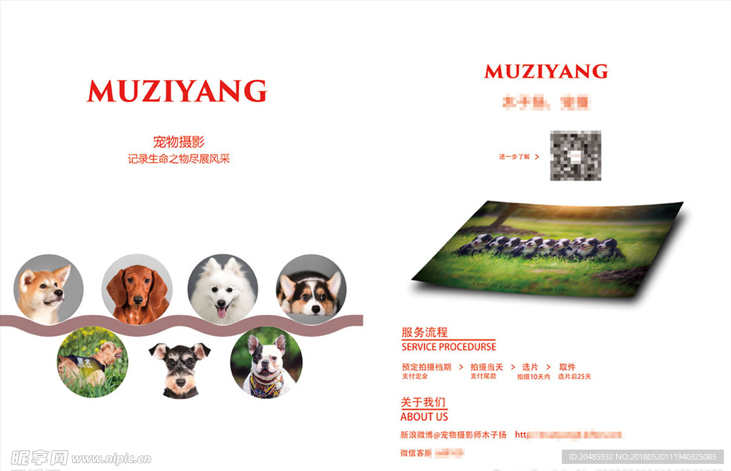 宠物摄影宣传单