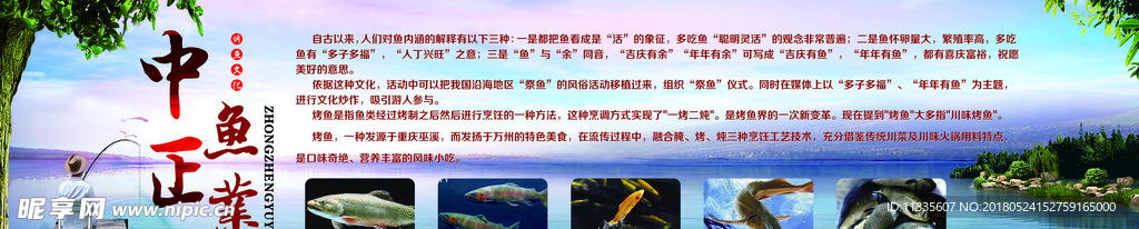 钓鱼 鱼文化  鱼简介 垂