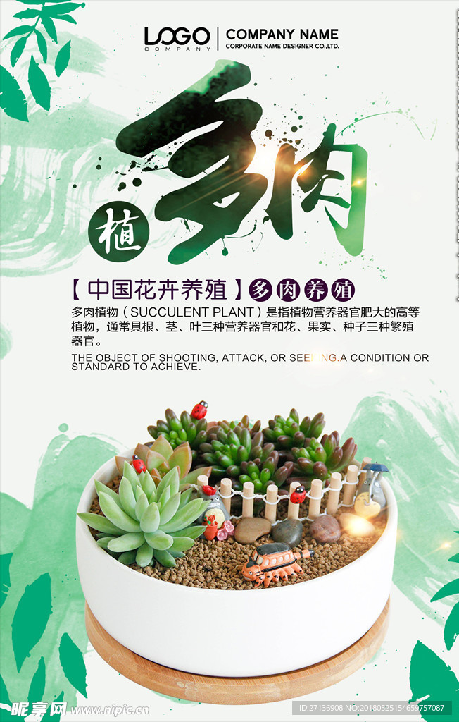 多肉宣传海报
