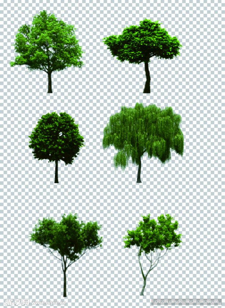 树木抠图