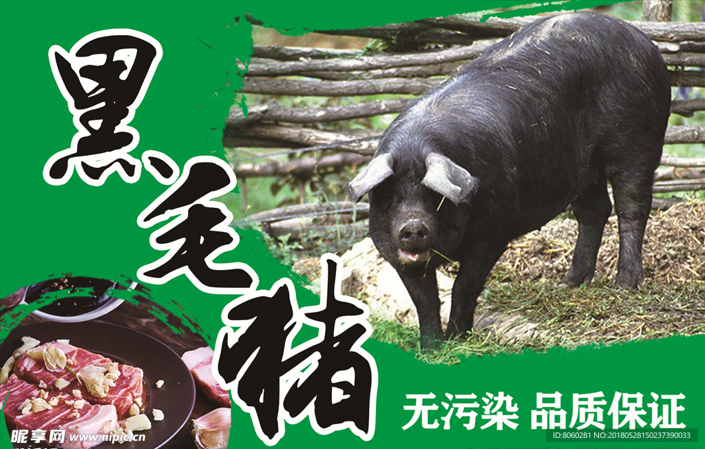 黑毛猪宣传