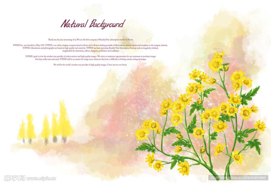 背景底图边花鲜花素材 (65)