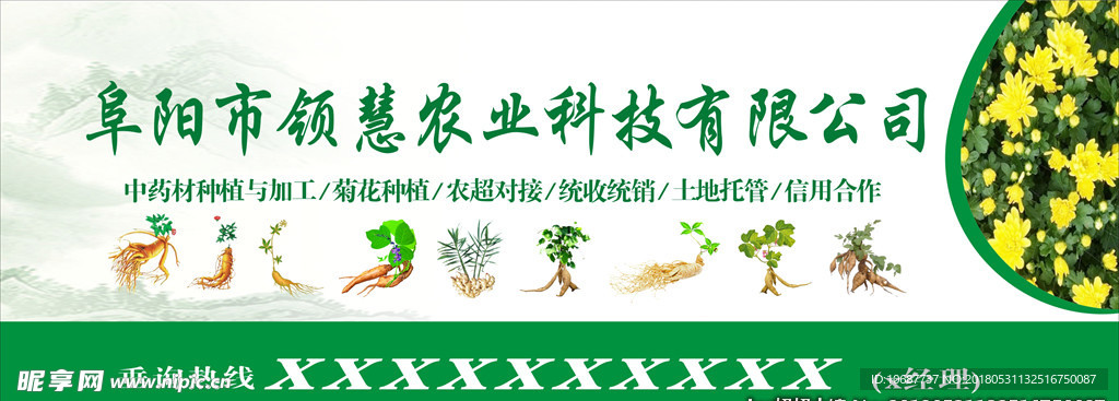 中药材 药材宣传 药材