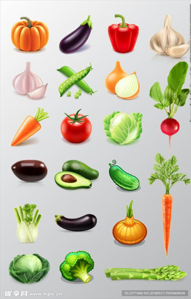 蔬菜插画
