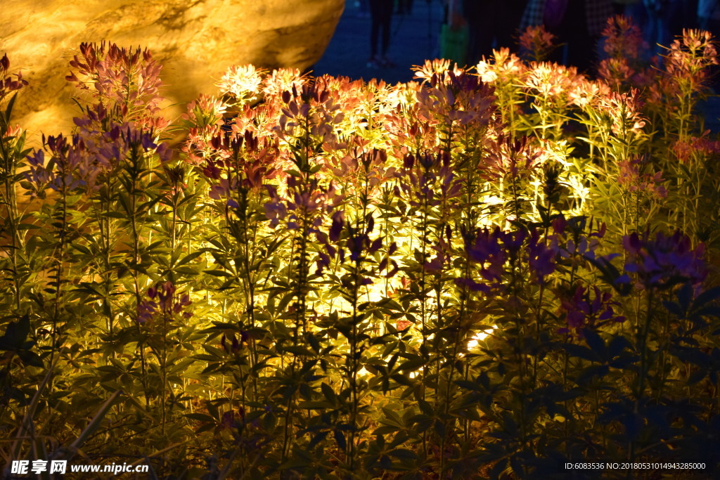古城夜景桌面电脑壁纸图片风景