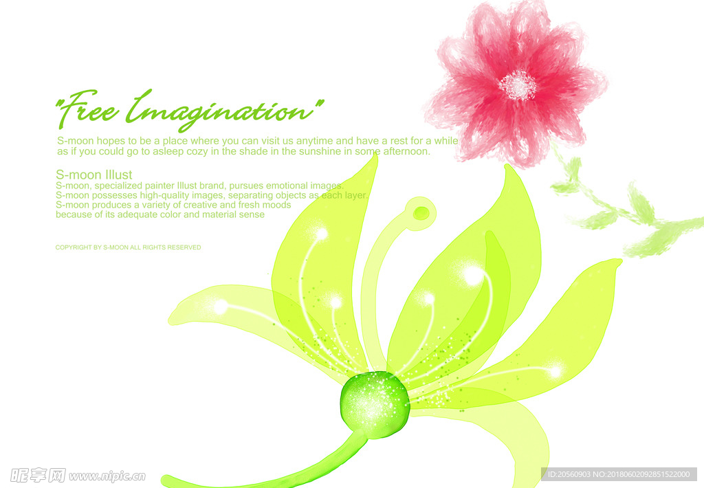 背景底图边花鲜花素材 (147