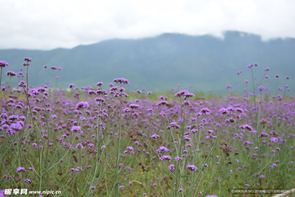电脑高清 自然风光 风景壁纸