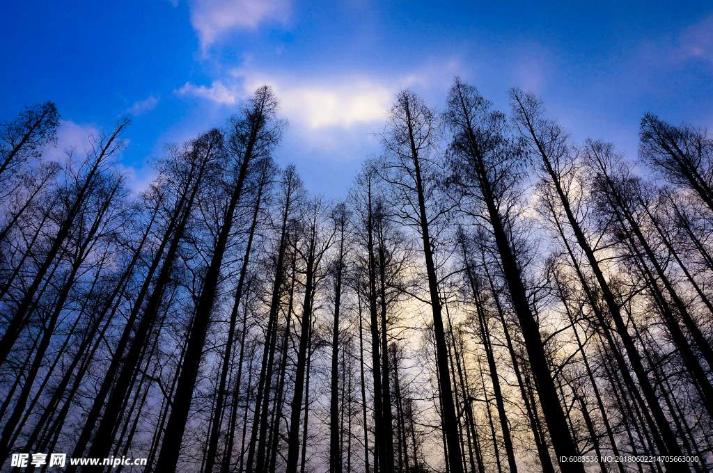 电脑壁纸图片风景人物动物