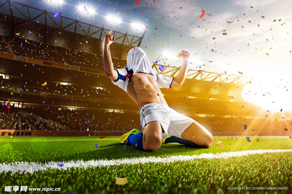 世界杯 足球 场馆 足球赛