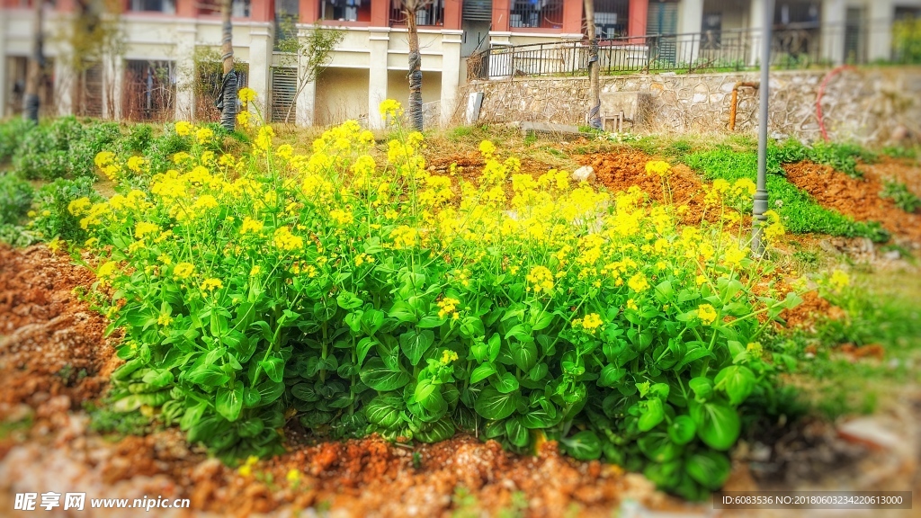 风景壁纸 电脑人物 动物桌面