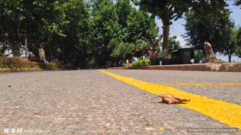 风景壁纸 电脑人物 动物桌面
