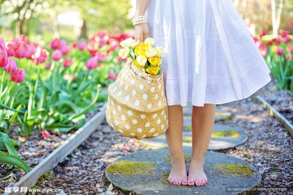 花  郁金香 女孩