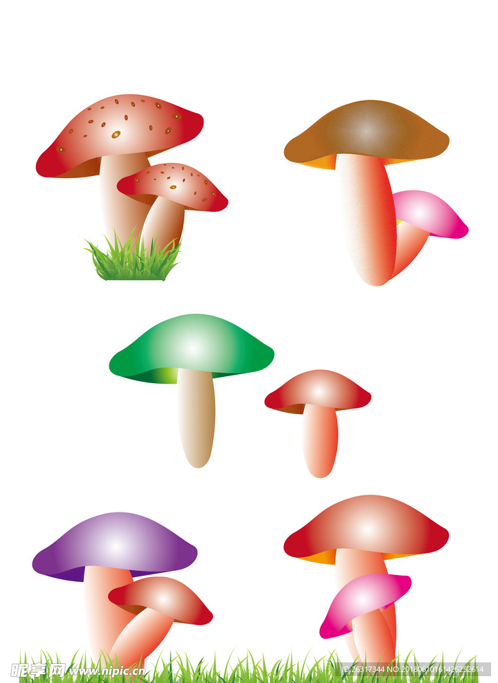 矢量蘑菇