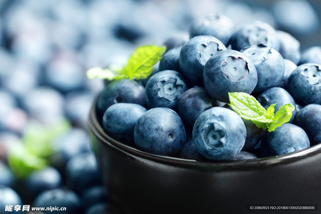 蓝莓图片