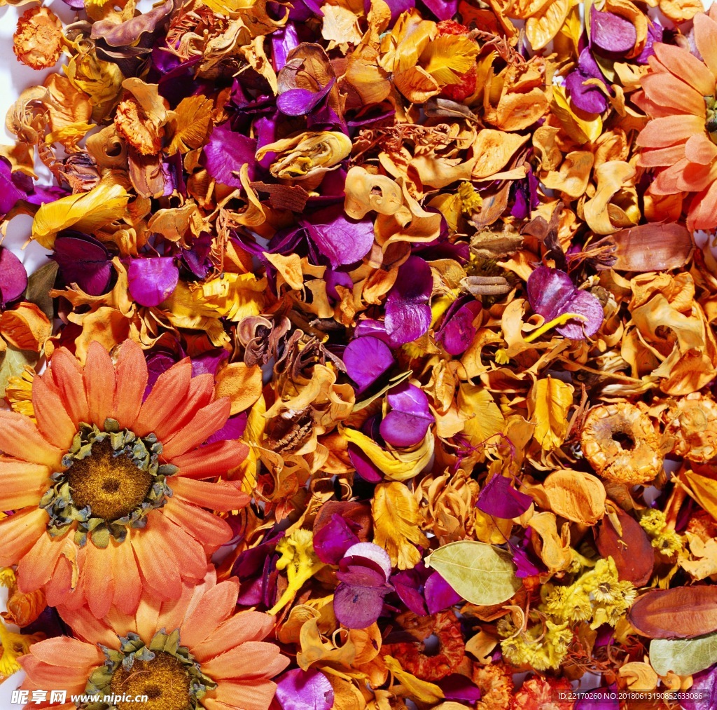 自然材质 花瓣背景