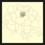 牡丹花线条图01