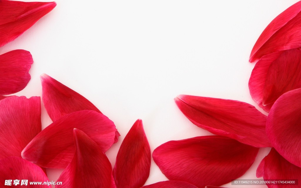 自然风景      春天背景图