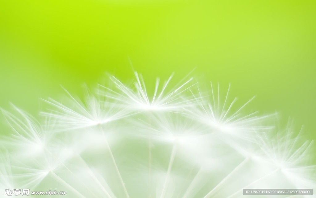 自然风景      春天背景图