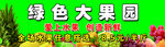 绿色大果园长图