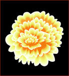 电脑鼠绘唯美花卉