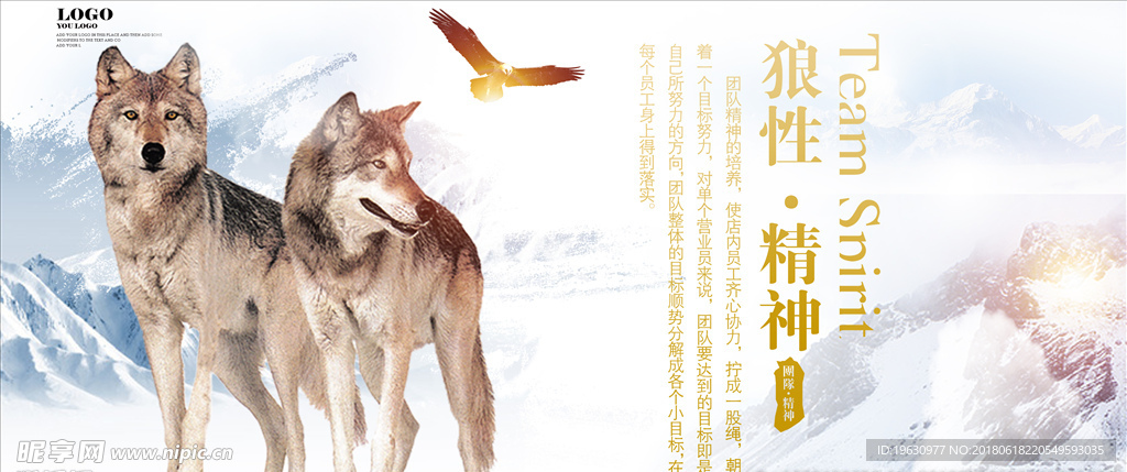 简约 狼族 文化 宣传 海报