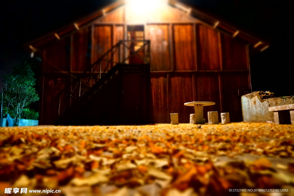 木屋下的银杏叶