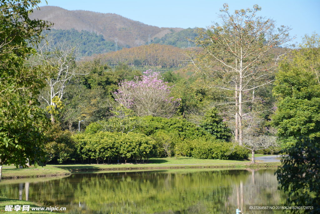 西双版纳植物园