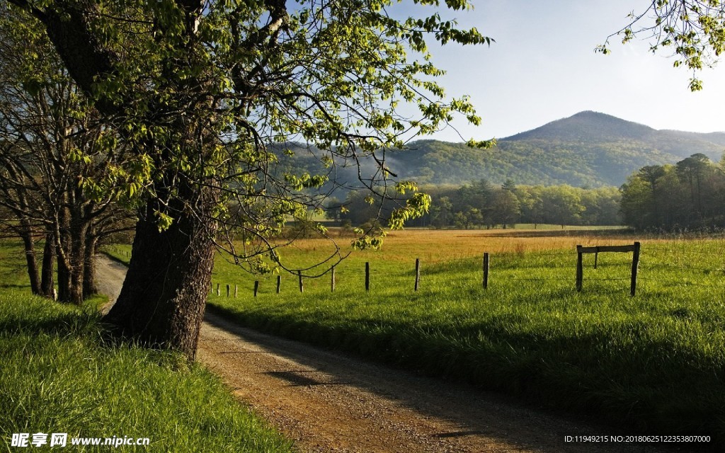 绿色风景图片 自然风光图片