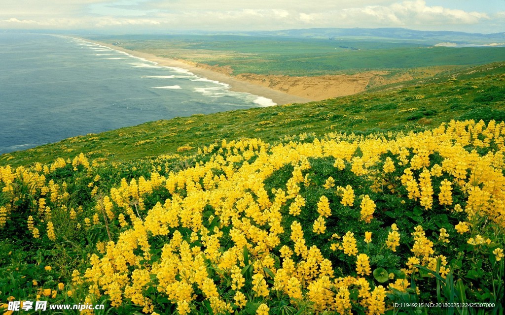 绿色风景图片 自然风光图片