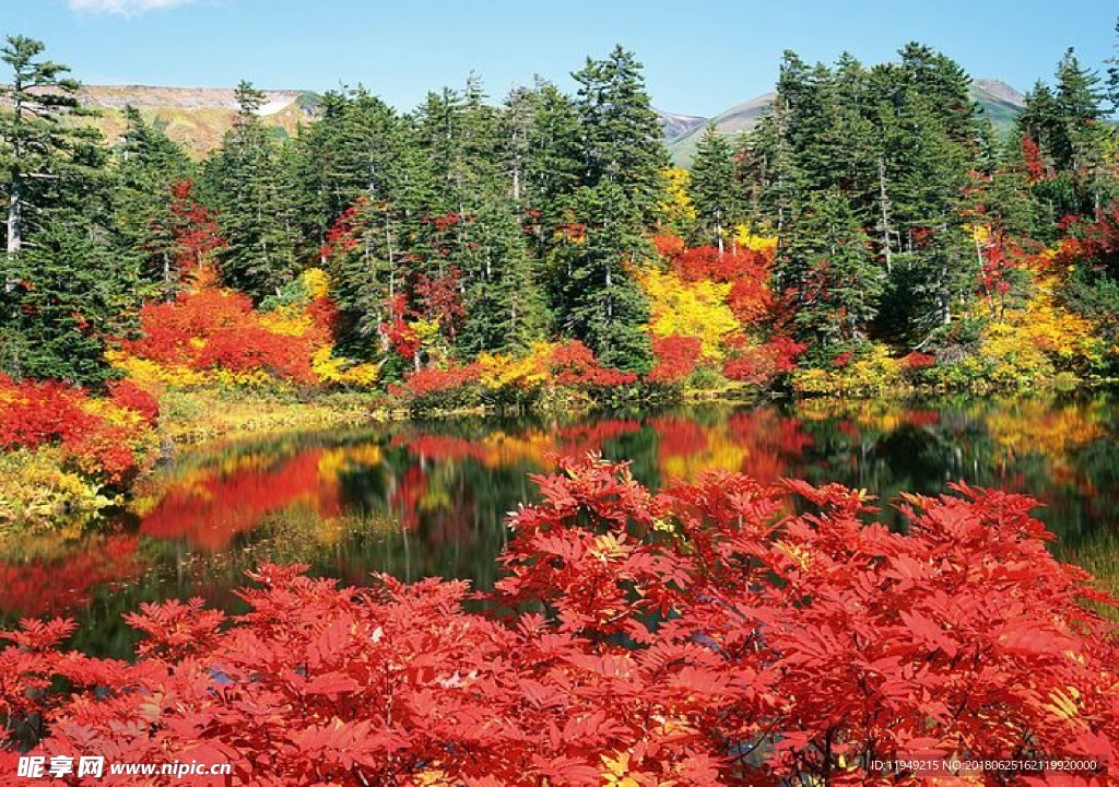 绿色风景图片 自然风光图片