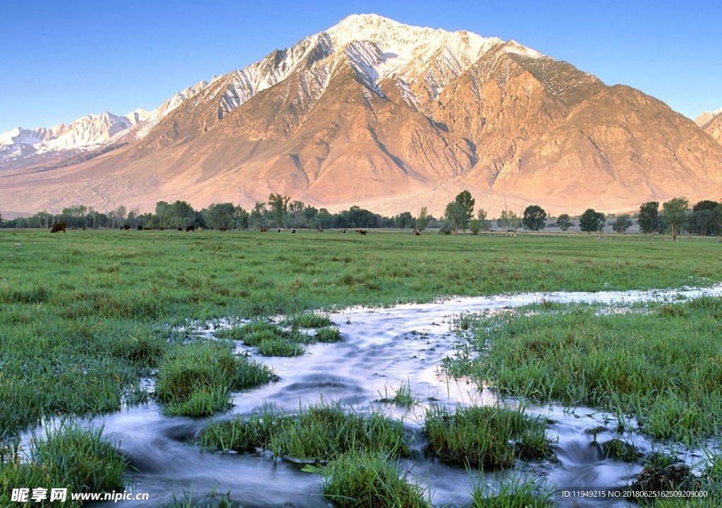 绿色风景图片 自然风光图片