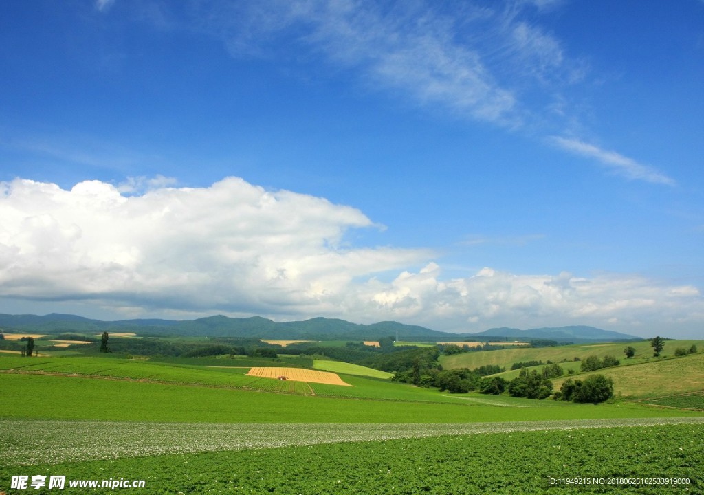 绿色风景图片 自然风光图片