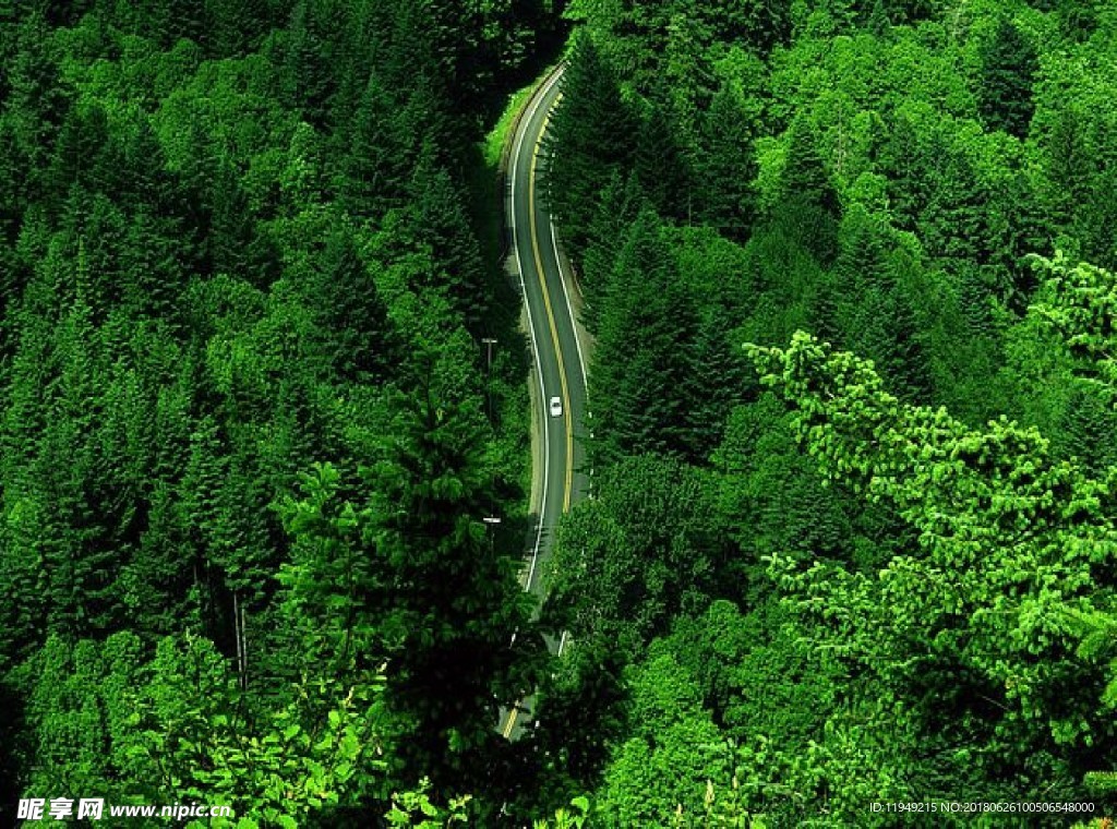 自然风光图片    高山森林