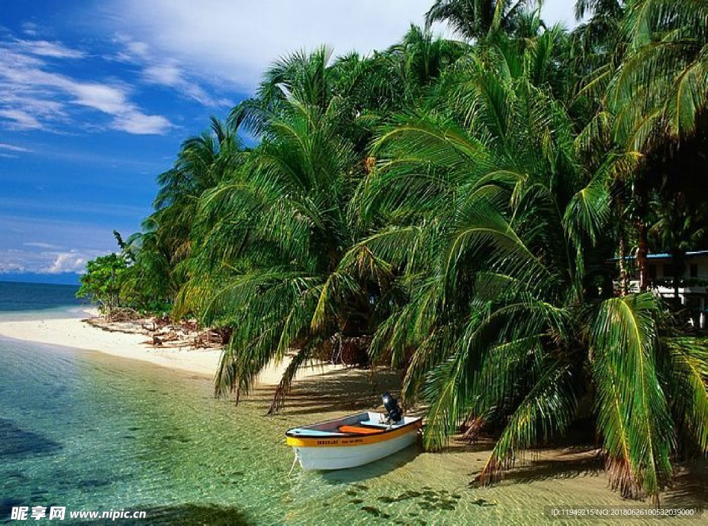 自然风光图片    高山森林