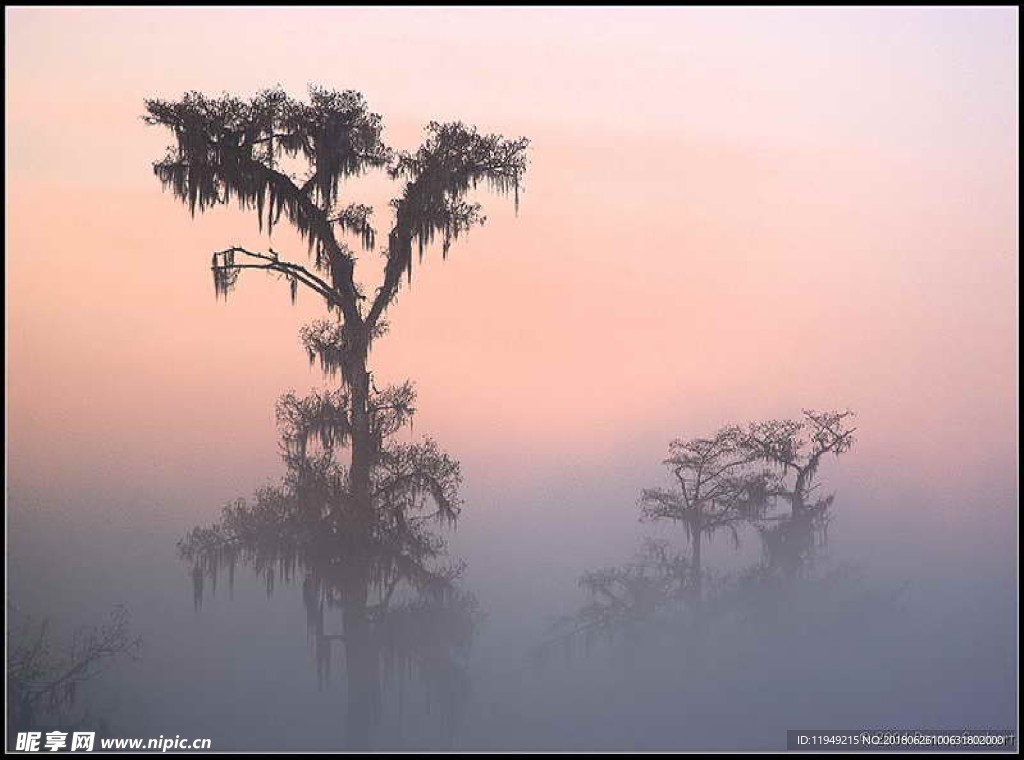 自然风光图片    高山森林