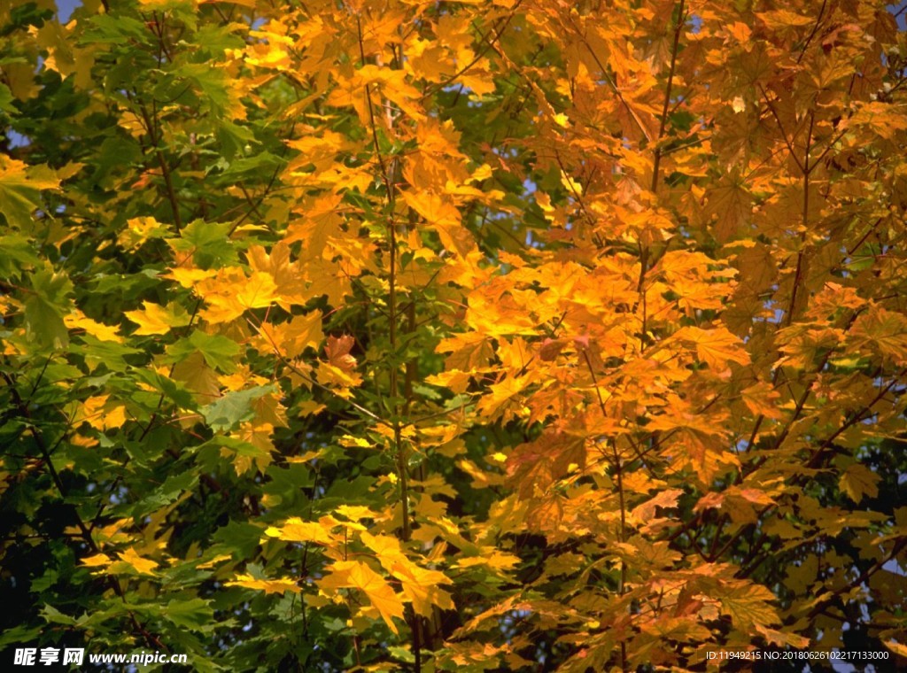 自然风光图片    唯美风景